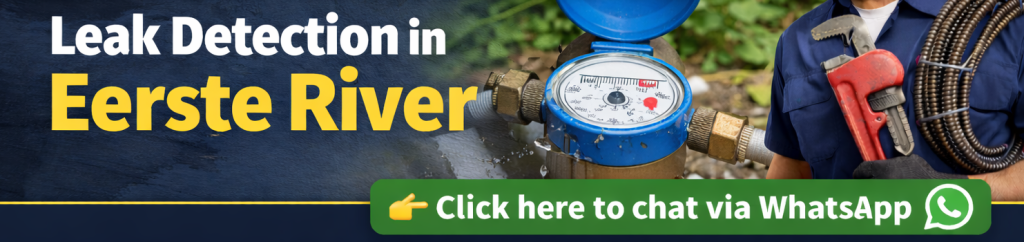 Leak detection in Eerste River showing water meter indicating possible hidden leak